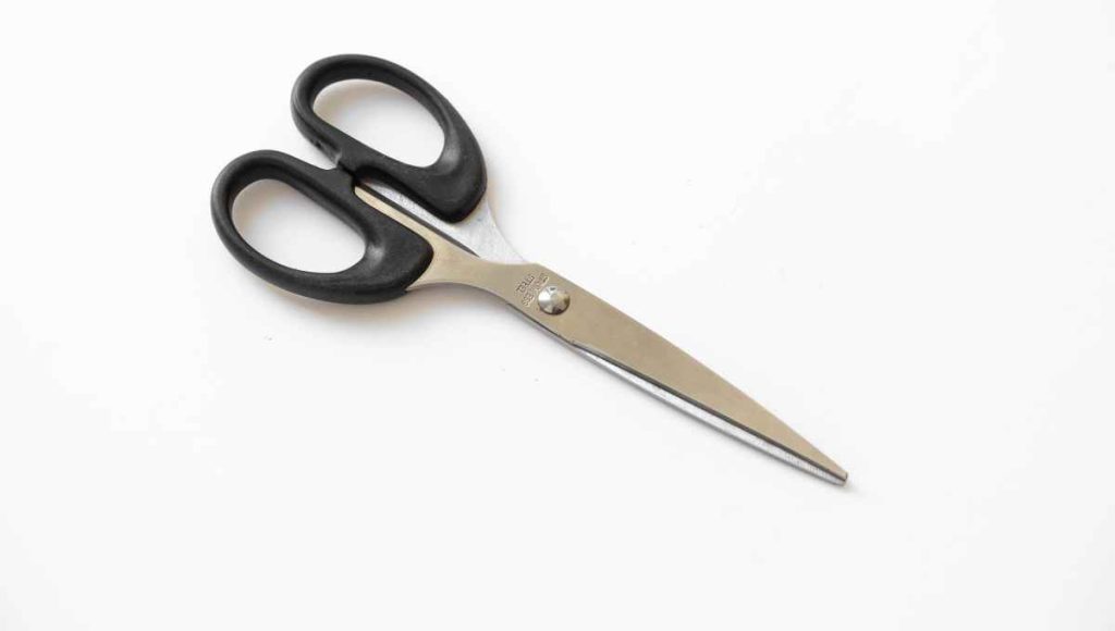Fabric Scissors vs Normal Scissors - BSR