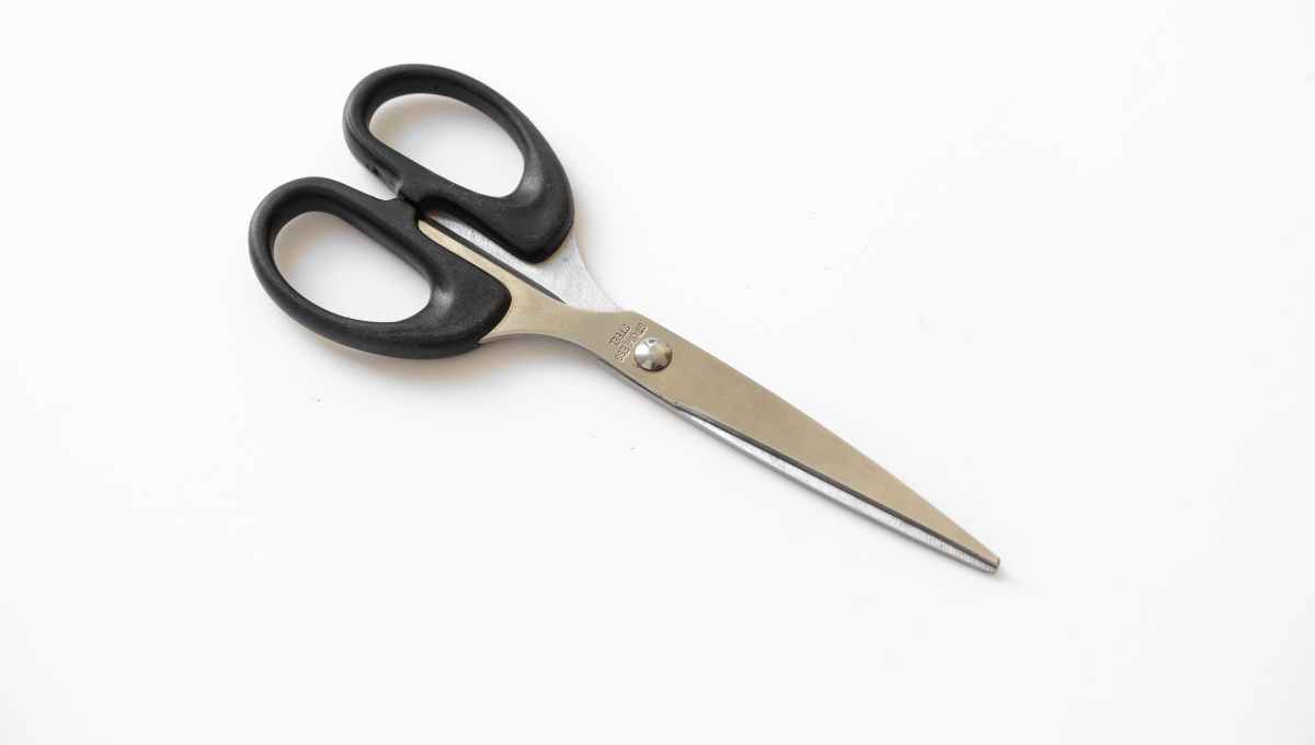 Fabric Scissors vs Normal Scissors